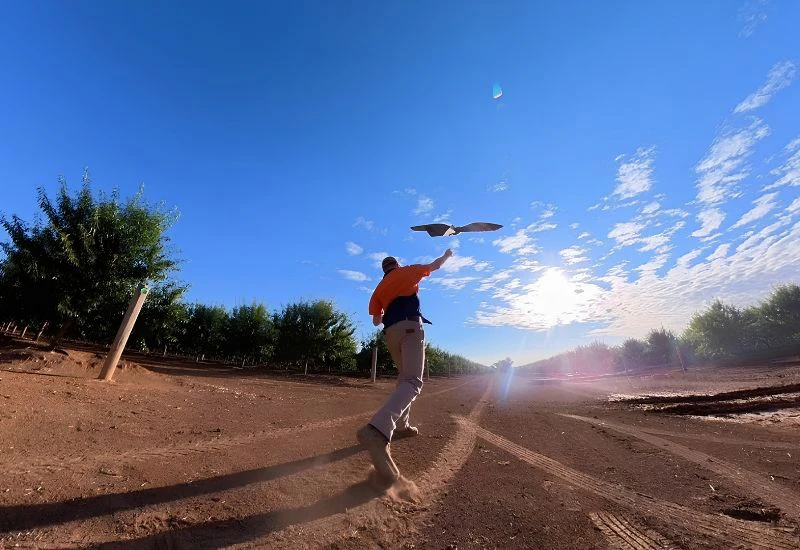 The RoBird drone being trialled in Shepparton, Victoria between November 2025 and May 2026, AERIUM Analytics