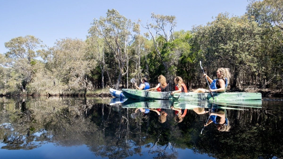 G'day Adventure tours kayaking on Bribie Island in Moreton Bay